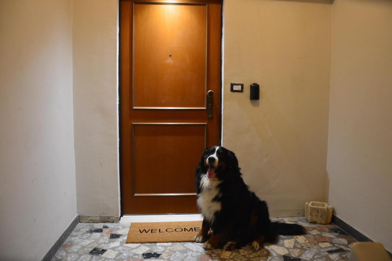 Luxury Bellevue Centro Citta Daire Pescara Dış mekan fotoğraf